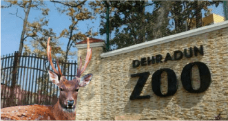 Deer-Park